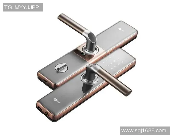 仿拍足球明星的魅力与影响力探讨及其在球迷心中的地位分析